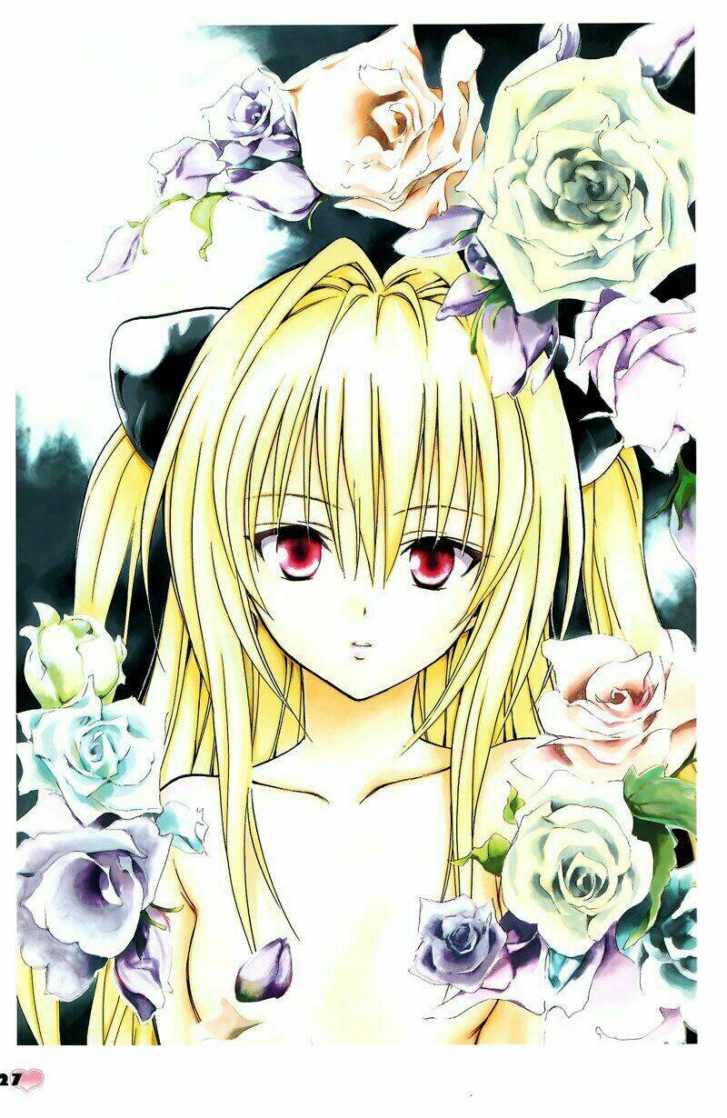 bọn tớ thích cậu! rito chapter 164 13