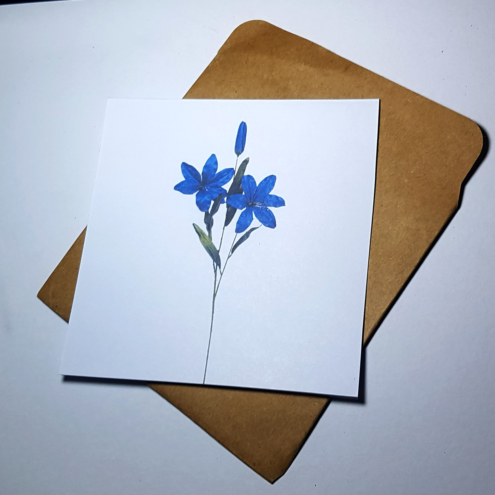 Thiệp phong cách Vintage card quà cám ơn ,chúc mừng sinh nhật và giử tặng người thân yêu