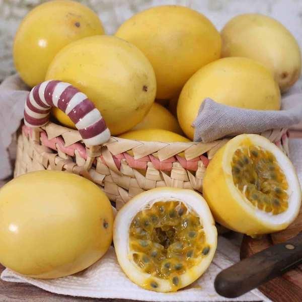 CÂY GIỐNG CHANH DÂY VÀNG SIÊU NGỌT