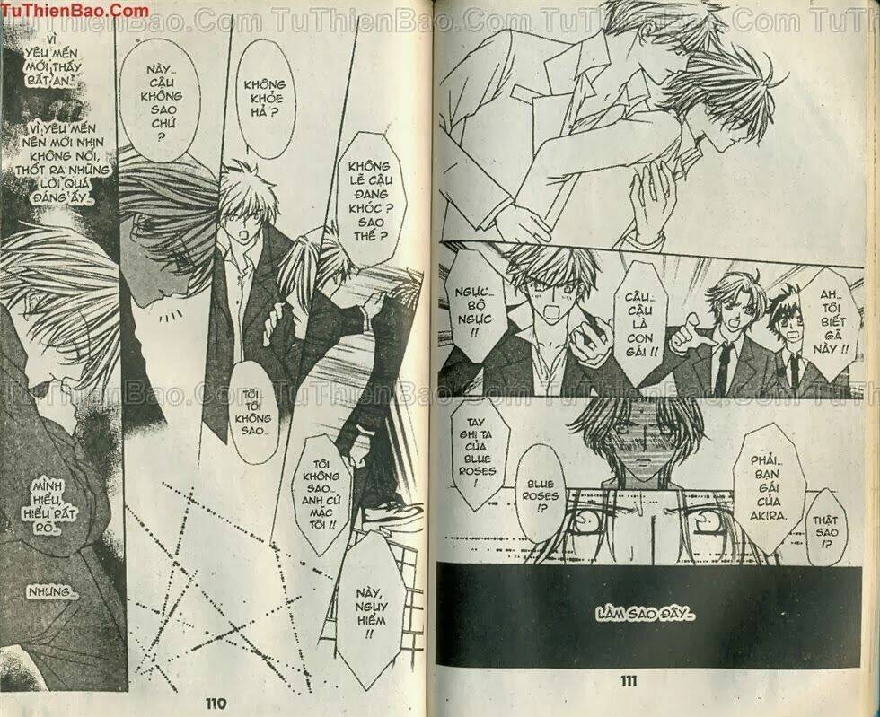 mối tình hoa hồng xanh chapter 5 54