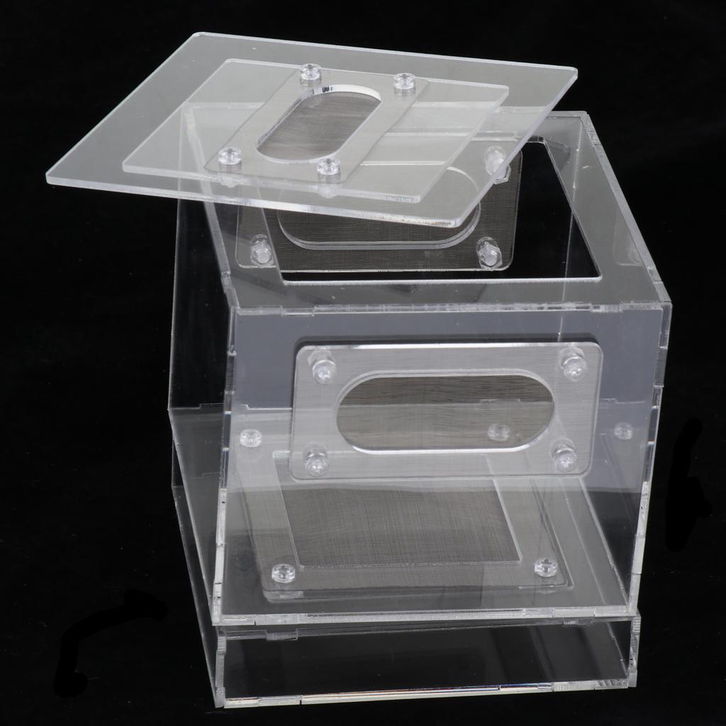Small Reptile Lizard Spider Scorpion Insect Vivarium Feeding Rearing Box