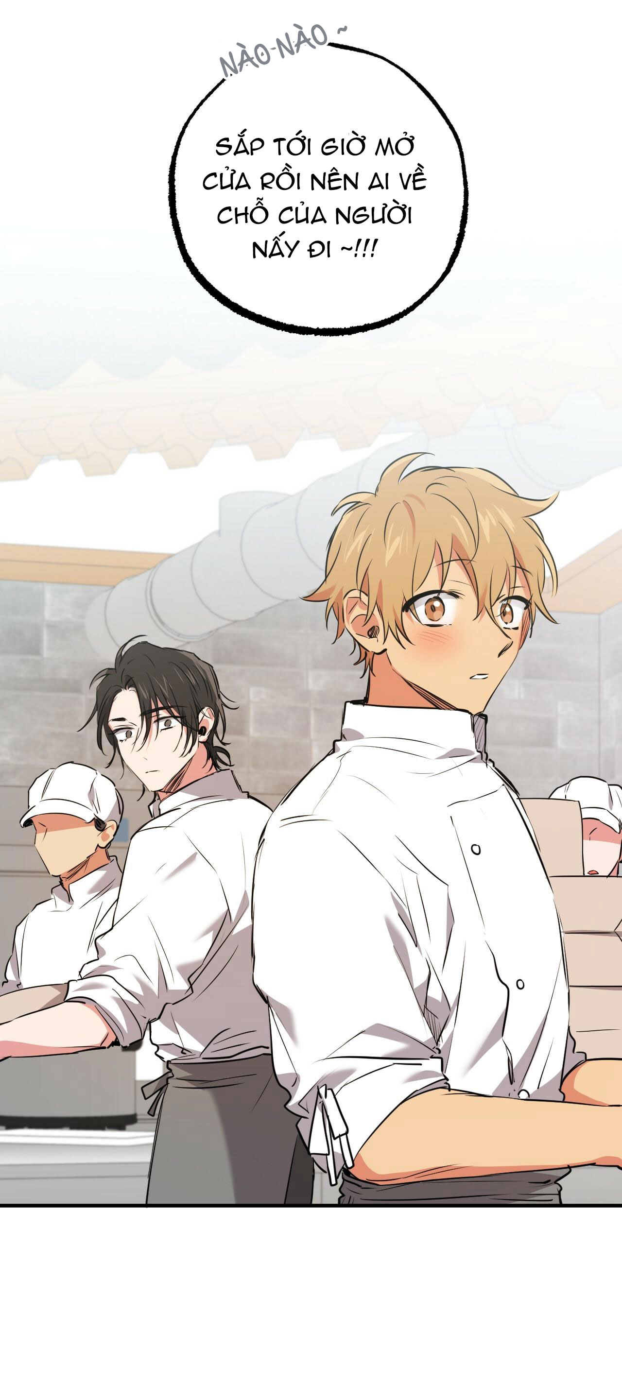 những chú thỏ của hapypy chapter 40 43