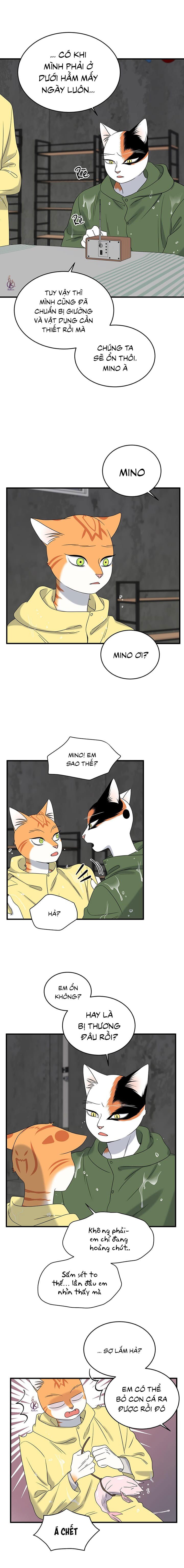 dự án xanh chapter 46 17