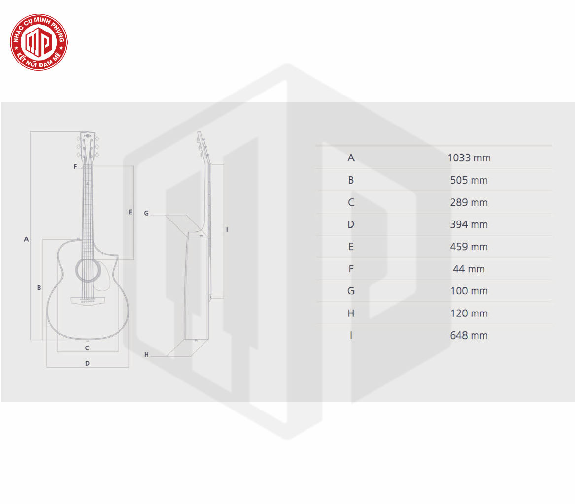 Đàn Guitar Acoustic Hex D570T - Hàng chính hãng