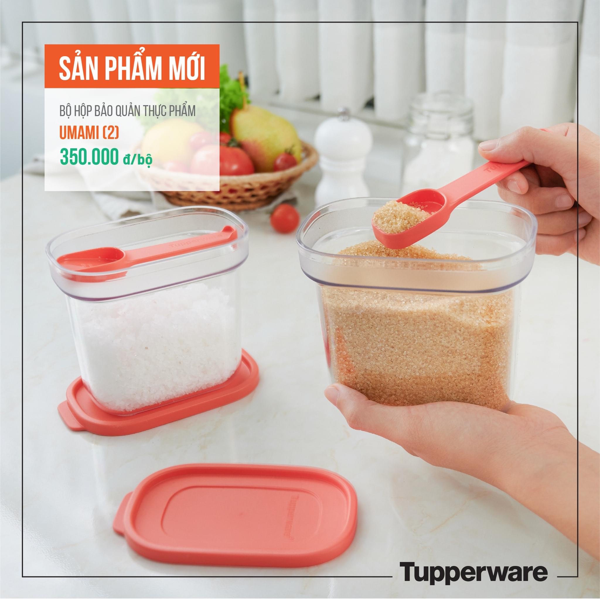 Bộ hộp BQTP Tupperware Umami (2 hộp)