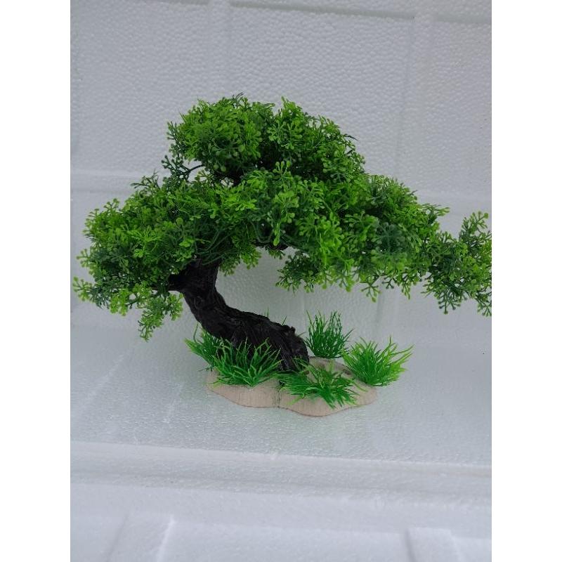 Bonsai bể cá -trang trí tiểu cảnh, hòn non bộ