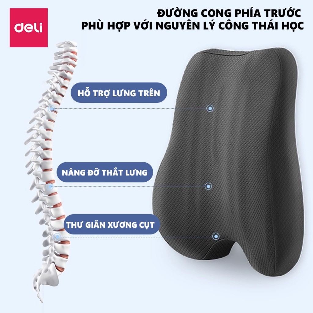 Combo Bộ gối tựa lưng và đệm lót ghế văn phòng DELI, giảm đau mỏi chống gù lưng, hỗ trợ phòng chống đau xương cụt, trĩ