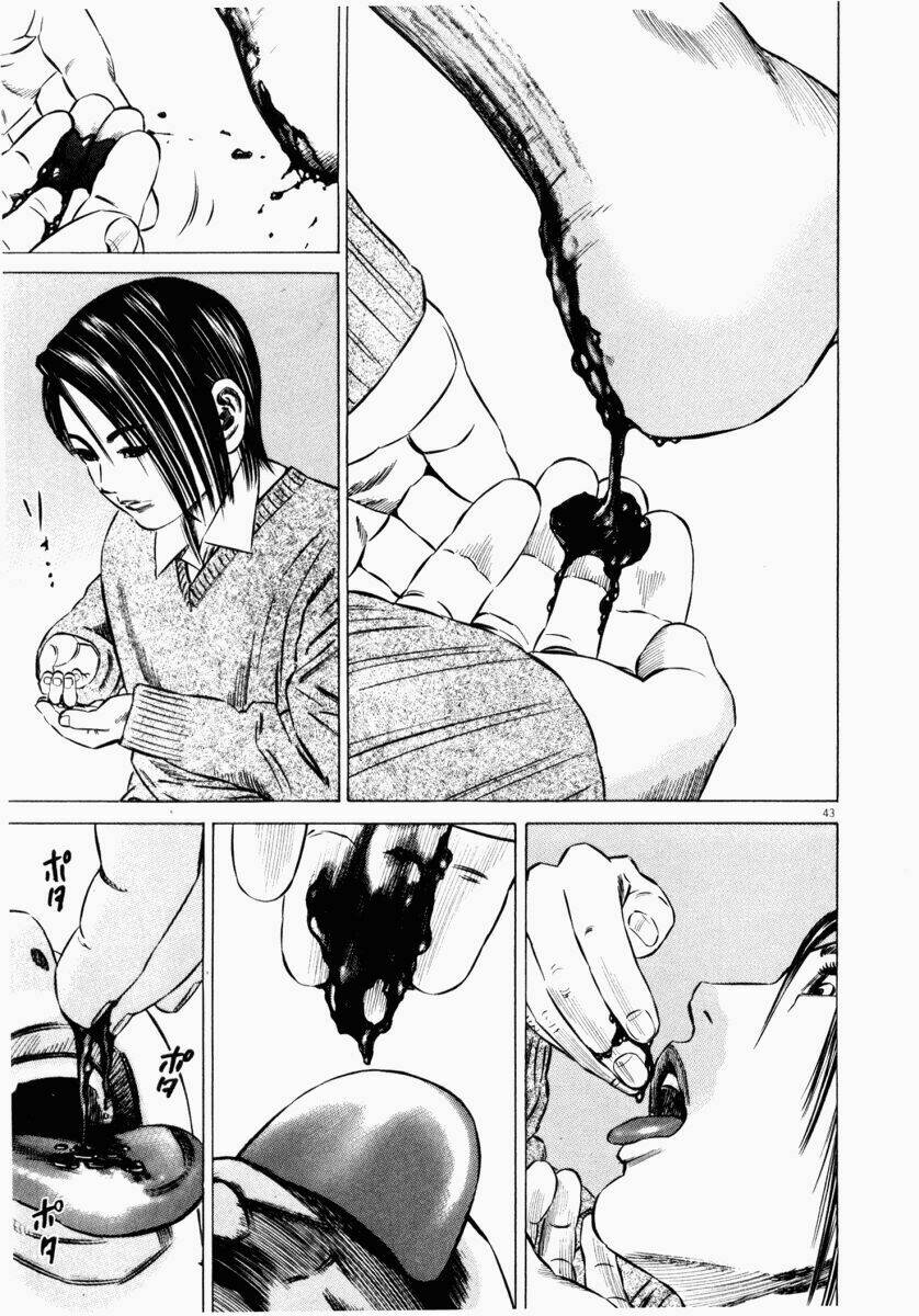 homunculus chapter 42 47