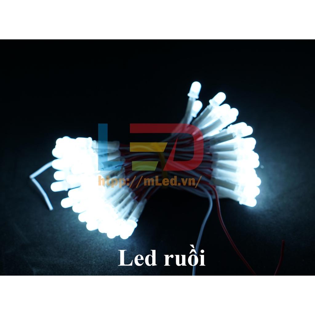 Led liền dây 100 bóng điện áp 5V và 12V, Led ruồi đơn sắc (Trắng, đỏ, vàng, xanh lá...)