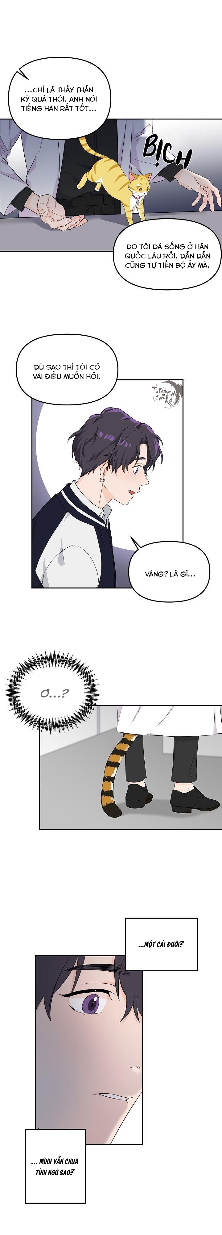 hoa ly hổ chapter 1 18