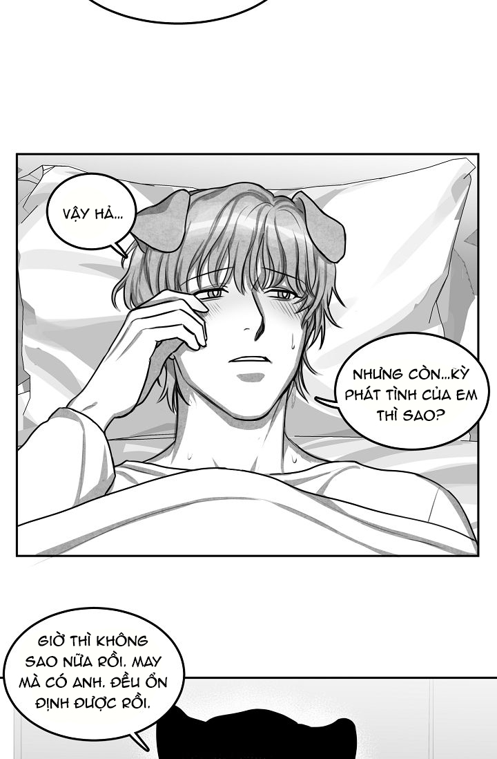 khi cún biết yêu chapter 7 6