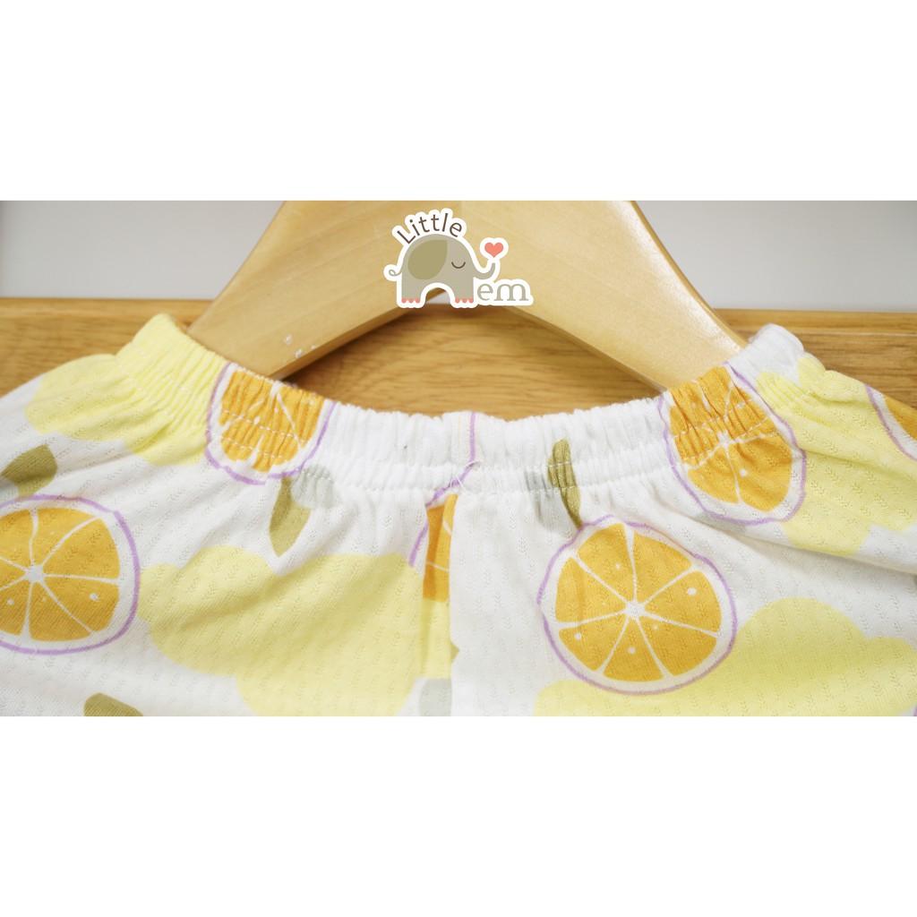 Bộ đồ bé trai Cotton tre cộc tay _ Khủng long xám