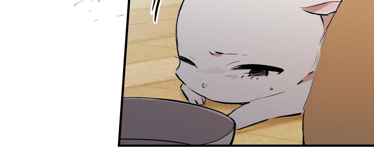 đàn thỏ của habibi chapter 36 38