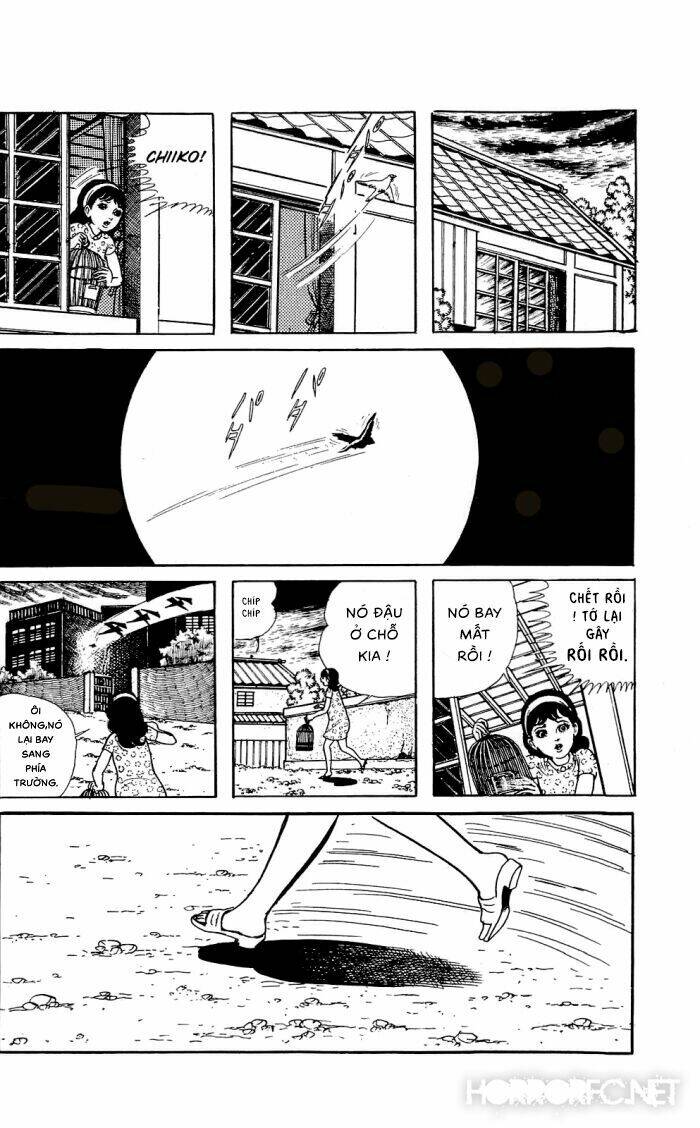 tuyển tập truyện ngắn kinh dị chapter 3 3