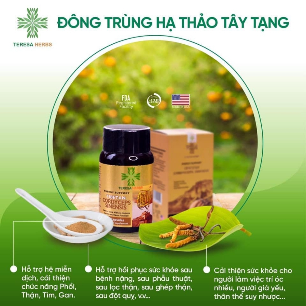 Hình ảnh Đông Trùng Hạ Thảo Tây Tạng (Made in USA) - Hoạt chất Polysacharide và Cordycepin/Adenosine cao, giúp tăng đề kháng, hệ miễn dịch nhanh, bổ phổi, bổ thận, ngủ ngon, giảm mệt mỏi, chống lão hóa, tăng cường sinh lý ( 60 Viên 500mg/ viên)