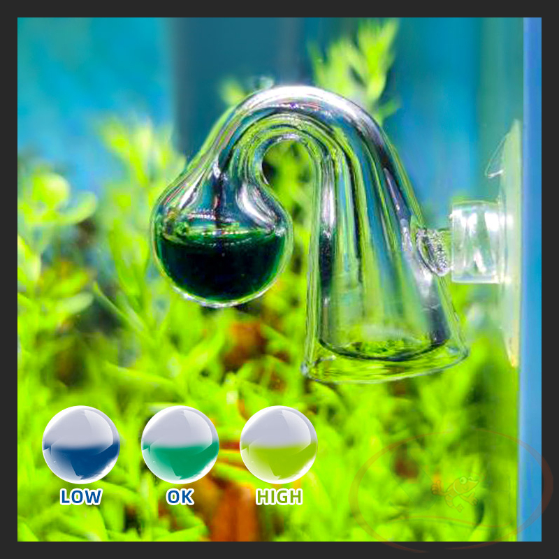 Dụng cụ test co2 thủy tinh kiểm tra theo dõi co2 drop checker bể thủy sinh