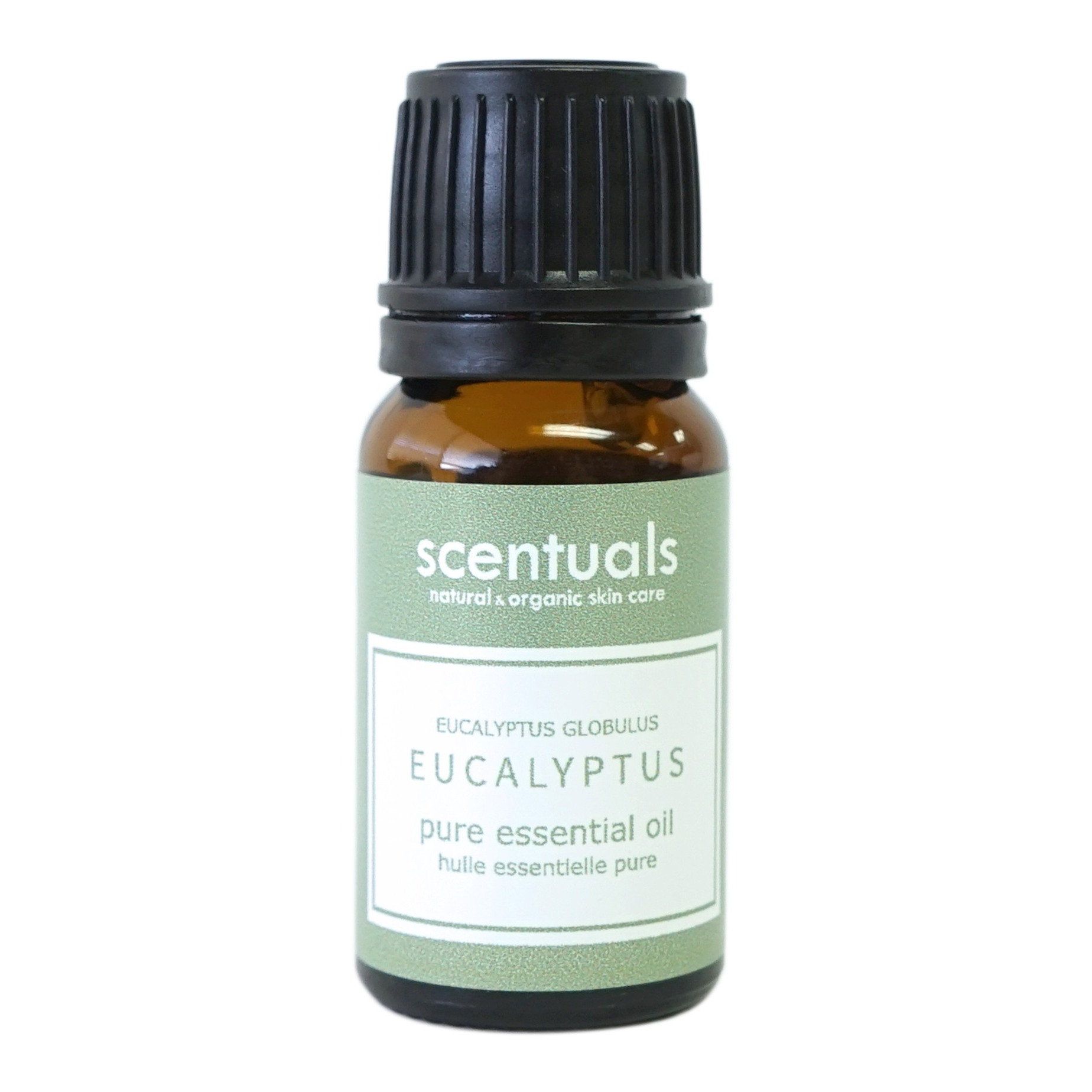 Tinh dầu bạch đàn xanh - Pure essential oil 10 ml - EUCALYPTUS RADIANTA