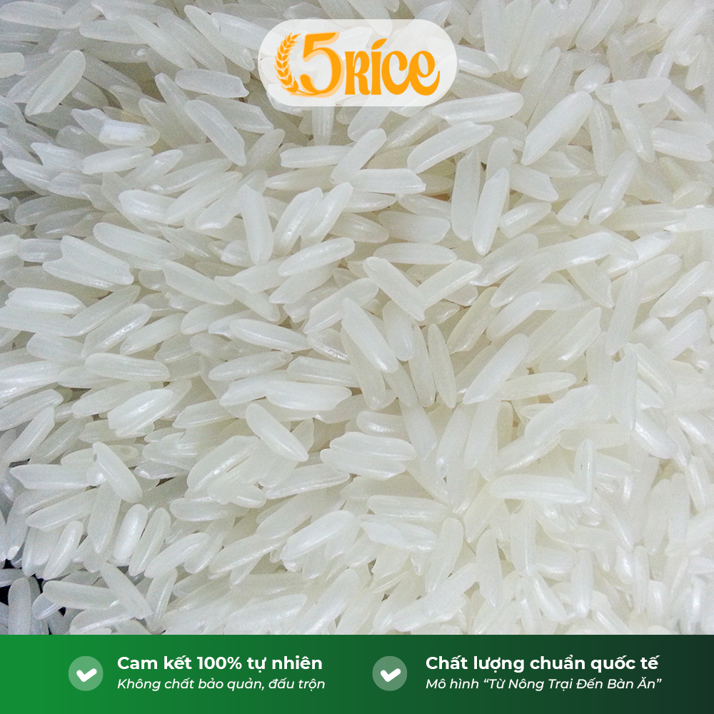 Gạo thơm cao cấp - Túi 10kg - Gạo thượng hạng thơm dẻo, đậm vị 5RICE