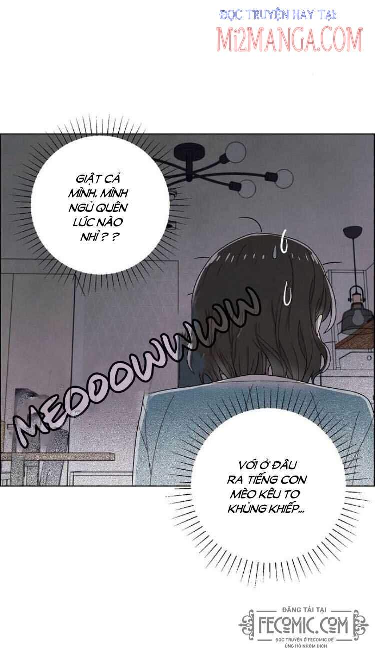 tôi đã cướp mất đêm đầu tiên của nam chính chapter 74.5 16