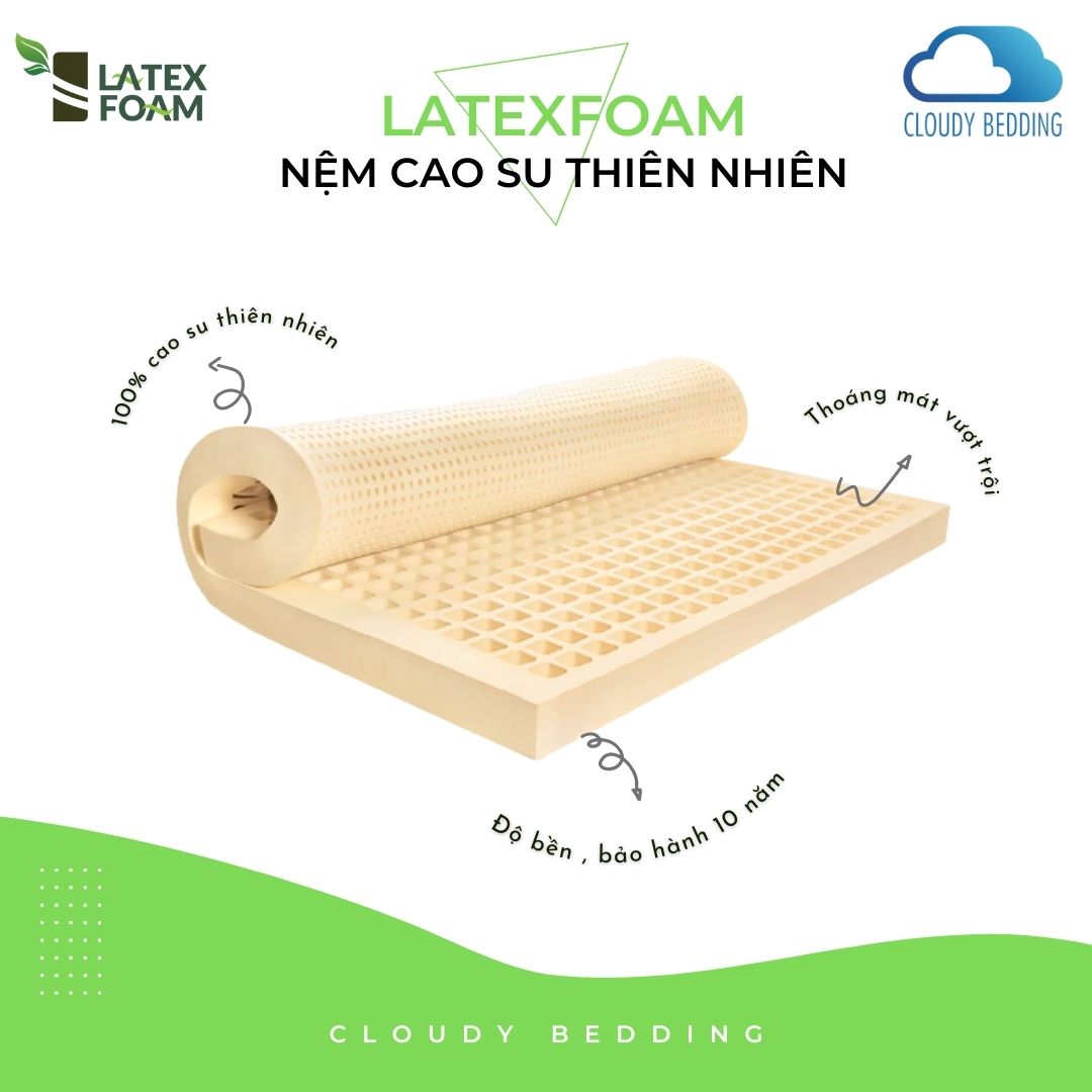 NỆM CAO SU THIÊN NHIÊN LATEXFOAM