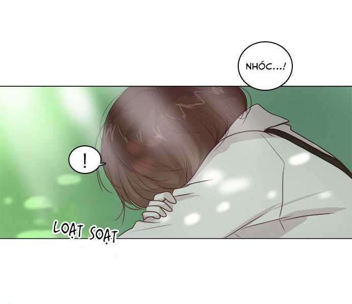 tiểu công chúa là người mai mối chapter 6 7