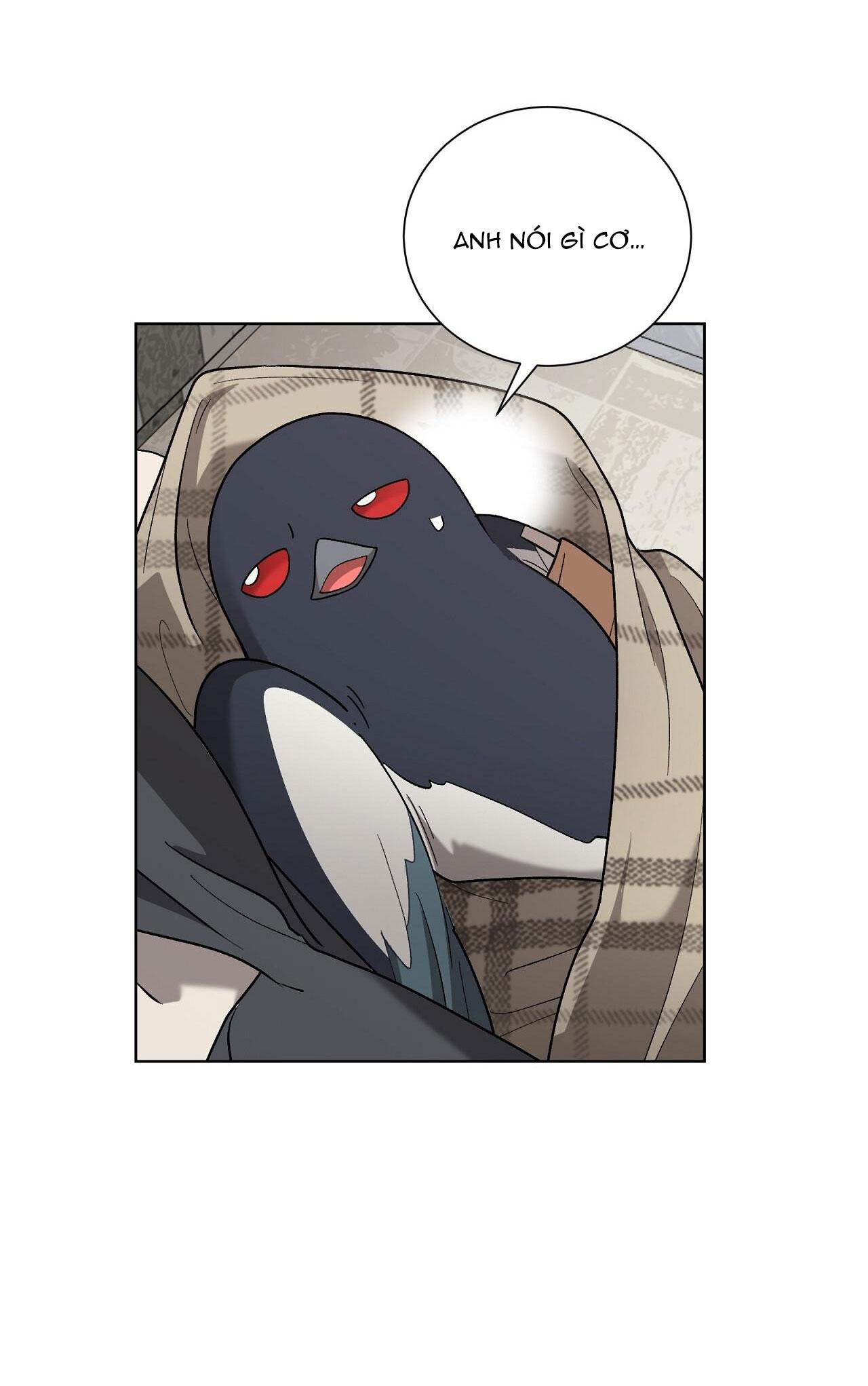 khi chim thước đến chapter 13 46