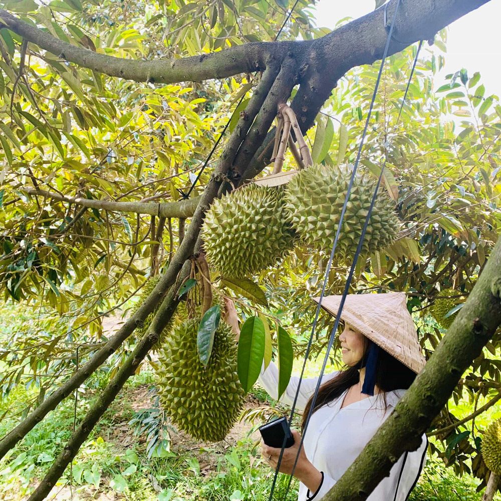 Tour Du lịch Sài Gòn - Mỹ Tho - Bến Tre - Cần Thơ - 2 Ngày 1 Đêm - Khám phá Miệt vườn sông nước