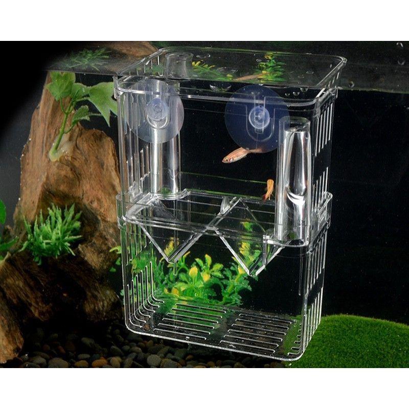 Lồng đẻ cho cá, tép cảnh bằng mika- box tách cá đẻ- phụ kiện thủy sinh cá tép cảnh