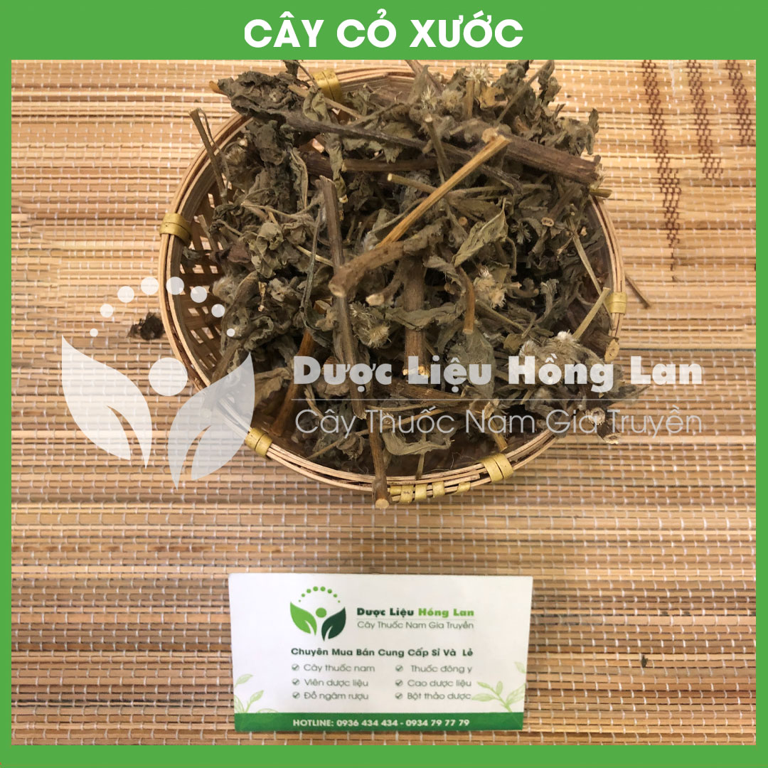 Cây Cỏ Xước khô sạch đóng gói 1kg