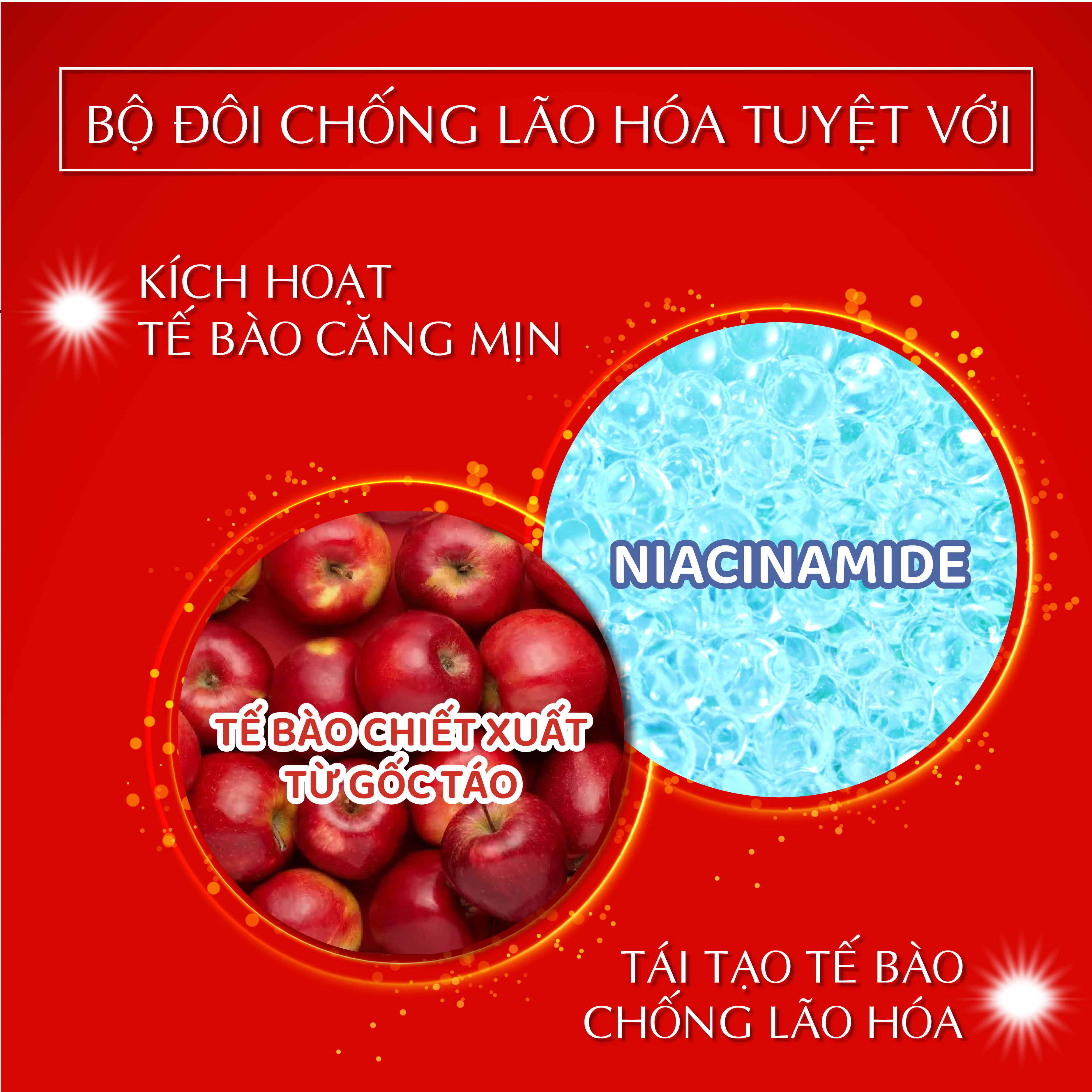 Tinh chất  tế bào gốc dưỡng ẩm chuyên sâu Harinista Delivery Essence 30ml