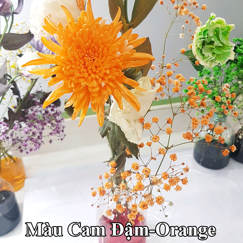 Nước Màu Nhuộm Hoa Tươi Màu Cam Israel Color Sodium For Fresh Flowers