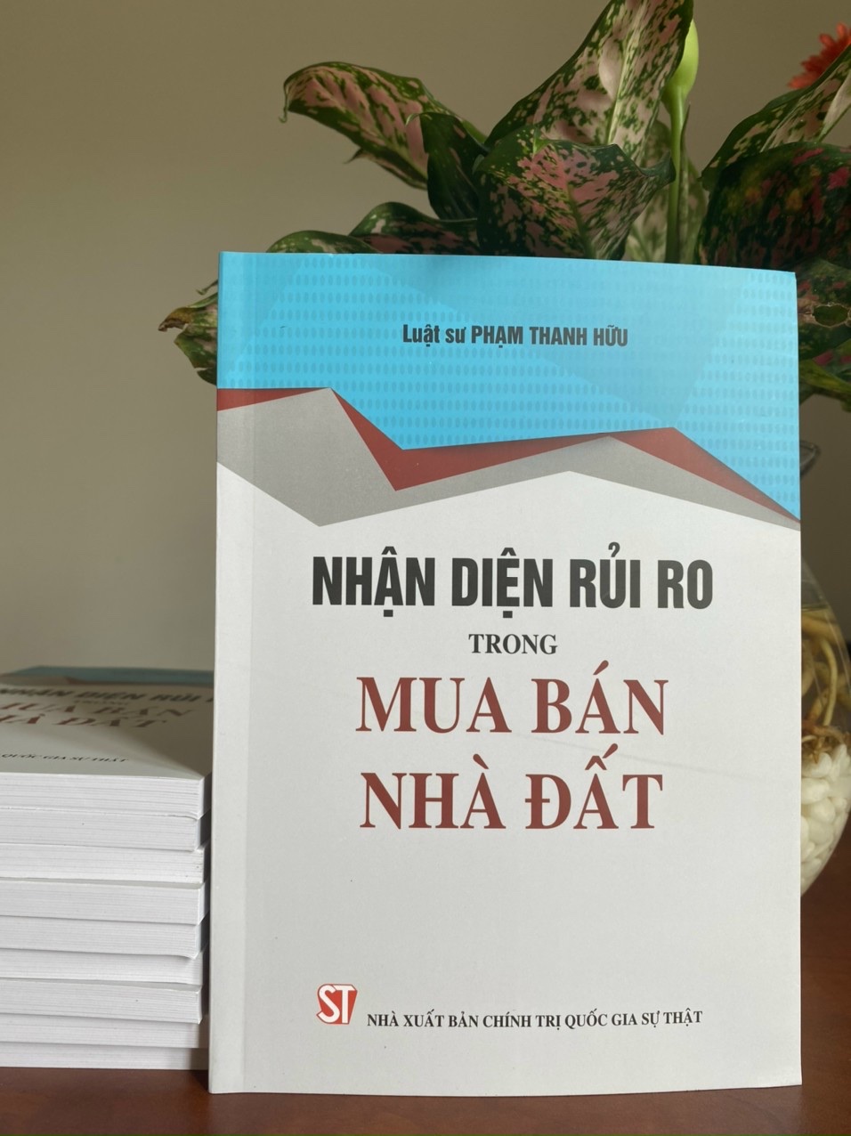 Nhận Diện Rủi Ro Trong Mua Bán Nhà Đất