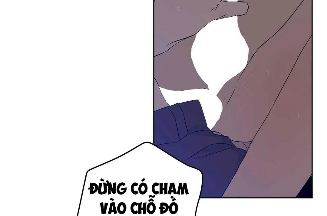 guide cấp b chapter 21 85