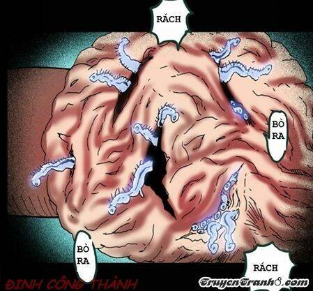 hồ sơ bệnh nhân chapter 11 10