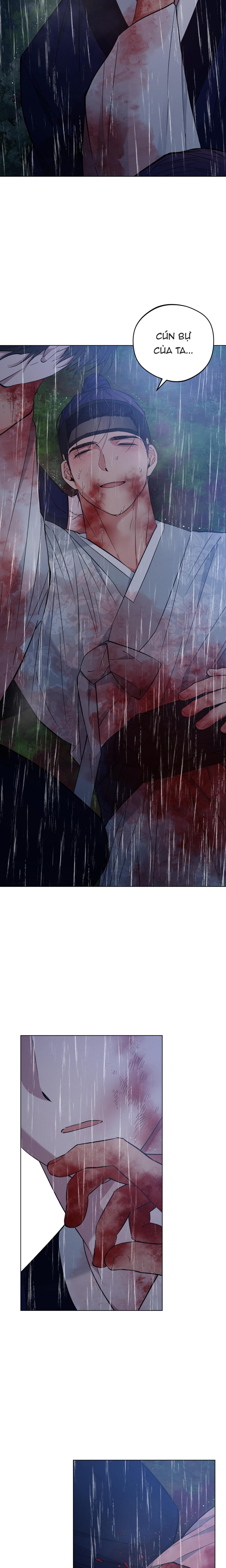 bình minh trên sông mây chapter 55 17