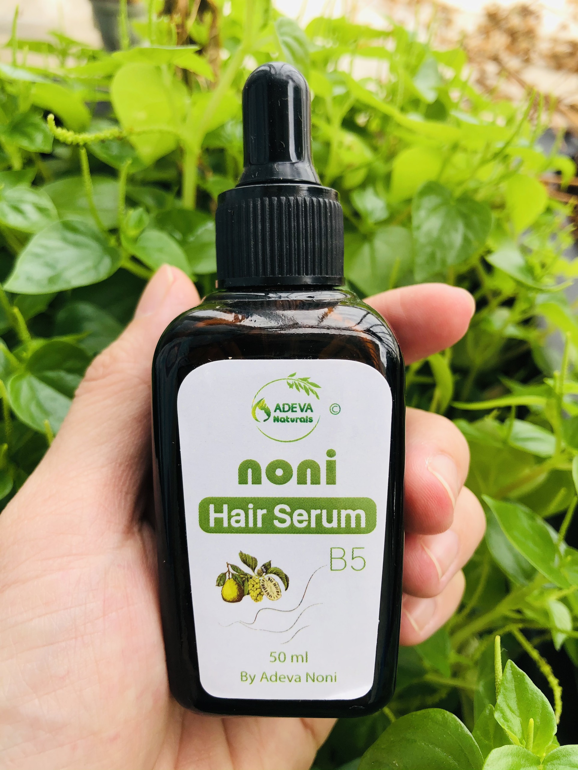 Serum dưỡng tóc từ Trái nhàu và thảo mộc kích thích mọc tóc, giảm rụng tóc an toàn và hiệu quả - Adeva Noni - 50 ml