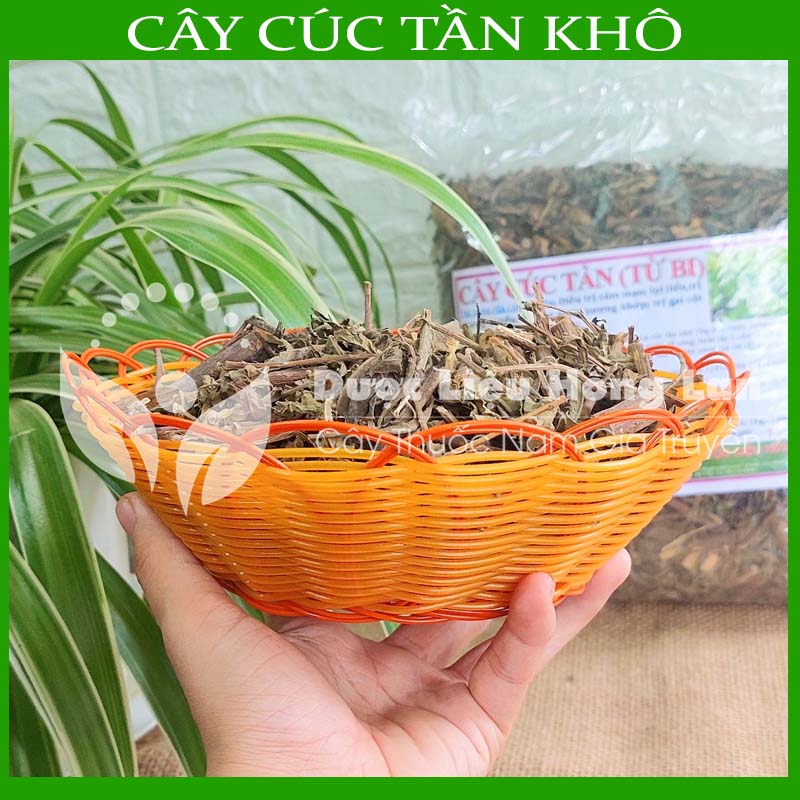 Cây Cúc Tần (Từ Bi, Đại Bi) khô gói 500g