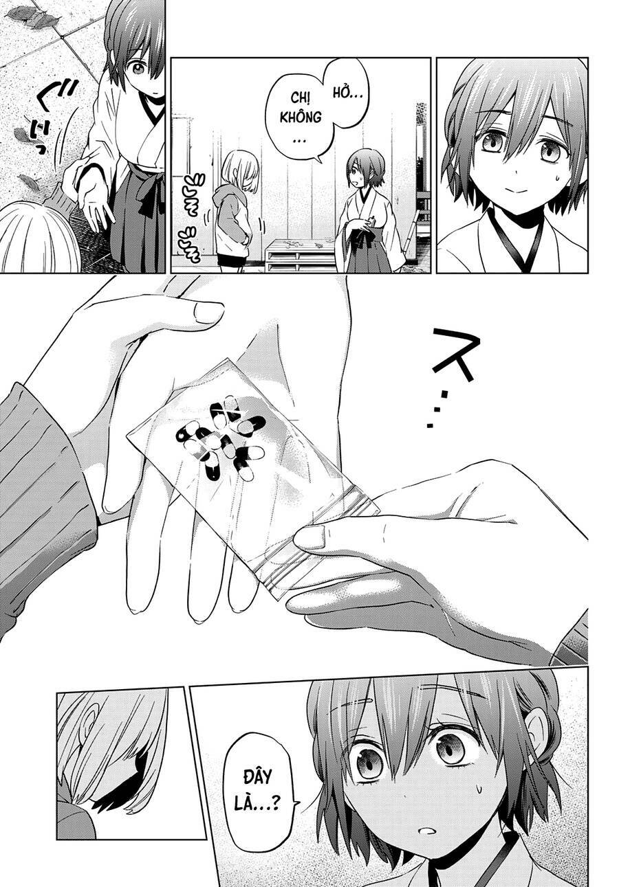 kakkou no iinazuke chapter 119 5