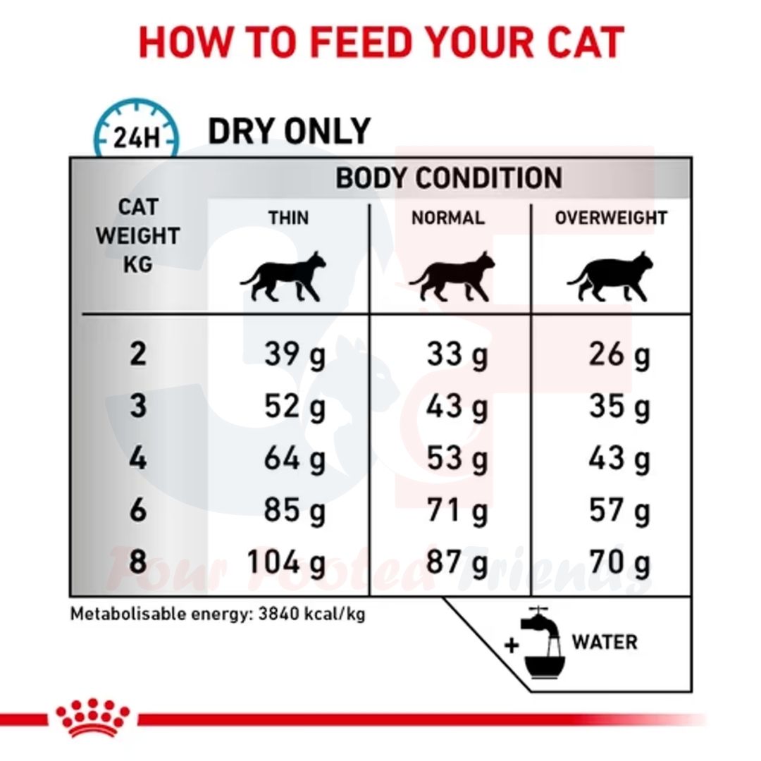 Hạt Khô Dành Cho Mèo Bị Viêm Da Và Rụng Lông: Royal Canin Skin &amp; Coat