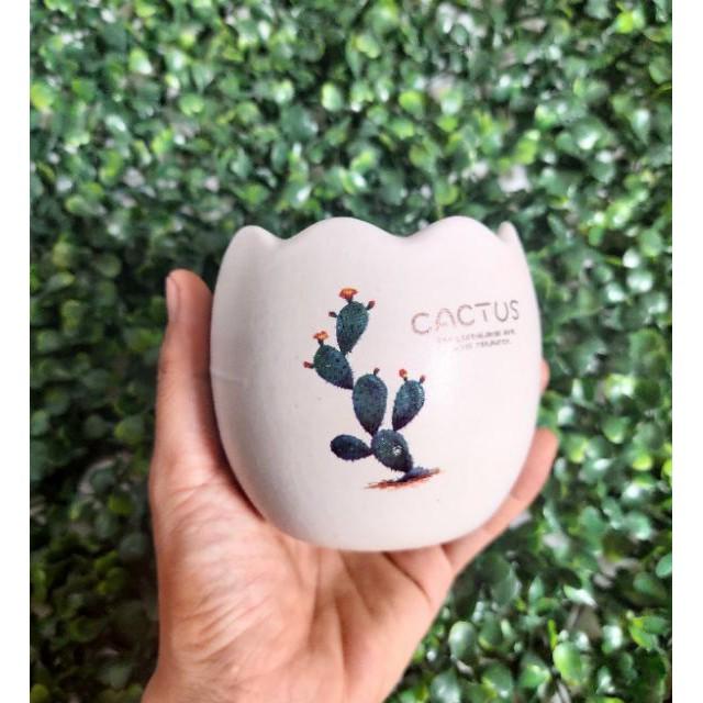 Chậu sứ hình trứng mini trồng cây in hình đẹp, chậu sứ mini, chậu sứ men mát, trồng sen đá, xương rồng, cẩm nhung