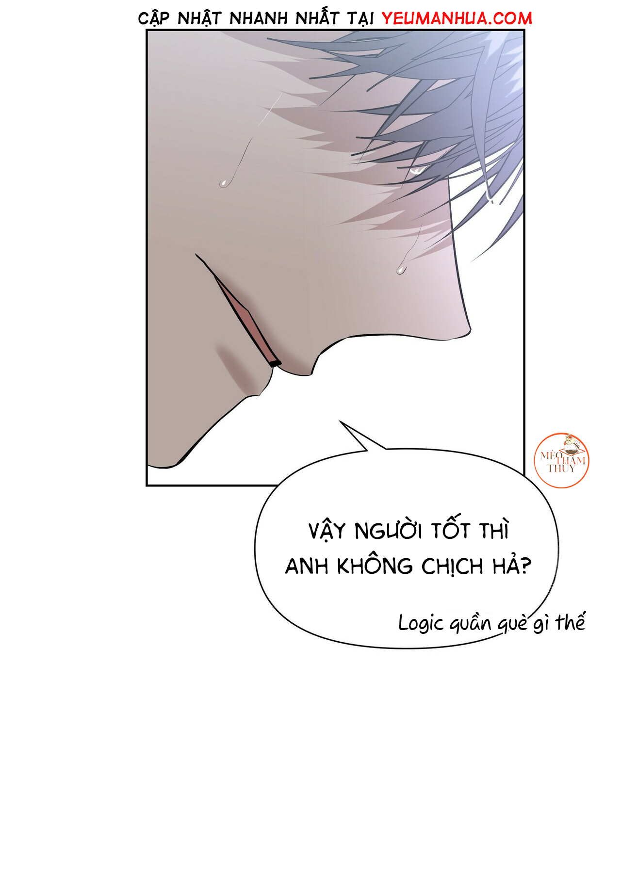 hội chứng chapter 11 7