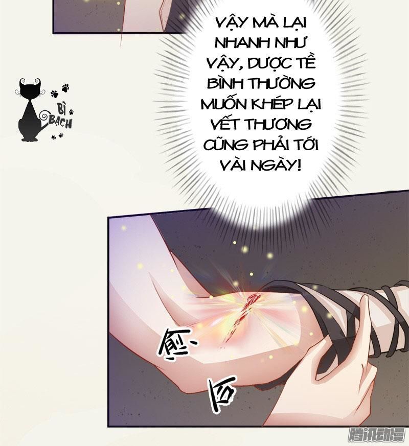 tuyệt thế luyện đan sư chapter 5 27