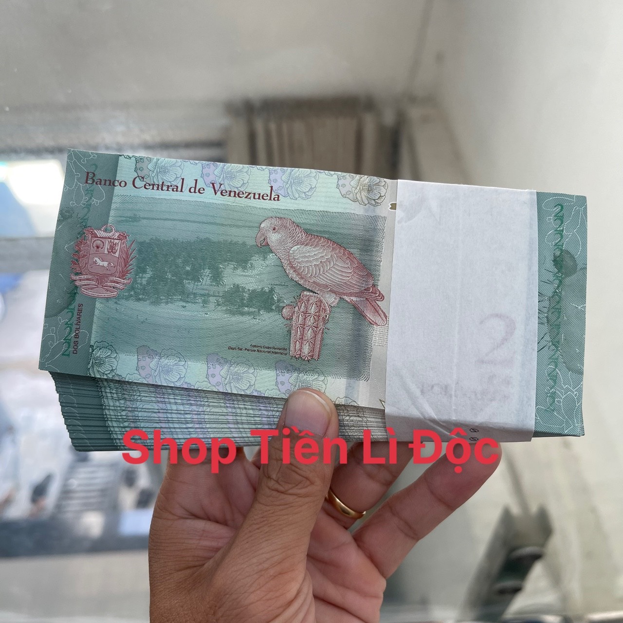 Sỉ Combo 100 Tờ Tiền Lì Xì Hình Con Vẹt Của Venezuela 2 Bolivares