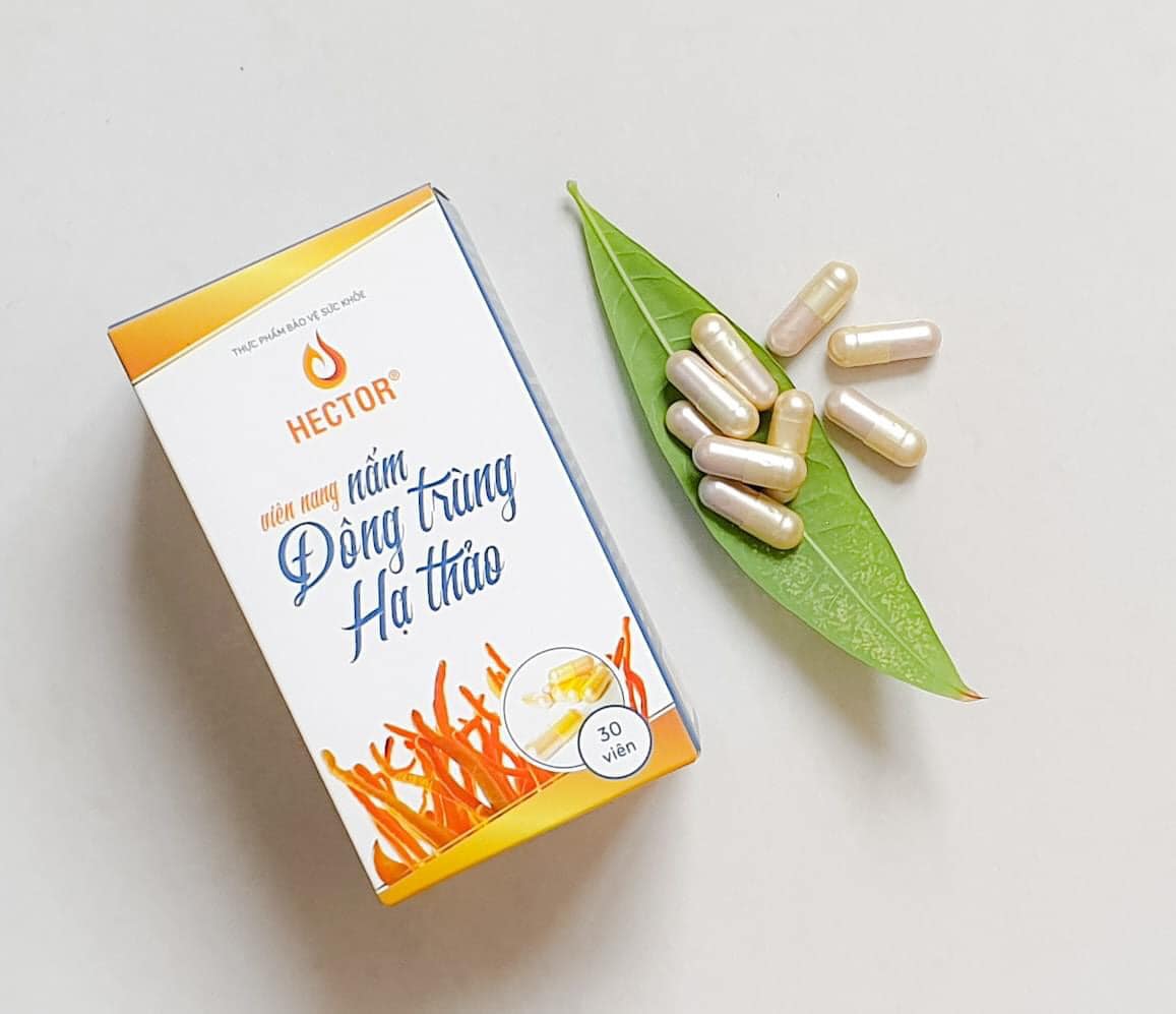 Viên nang đông trùng hạ thảo Hector 30 viên