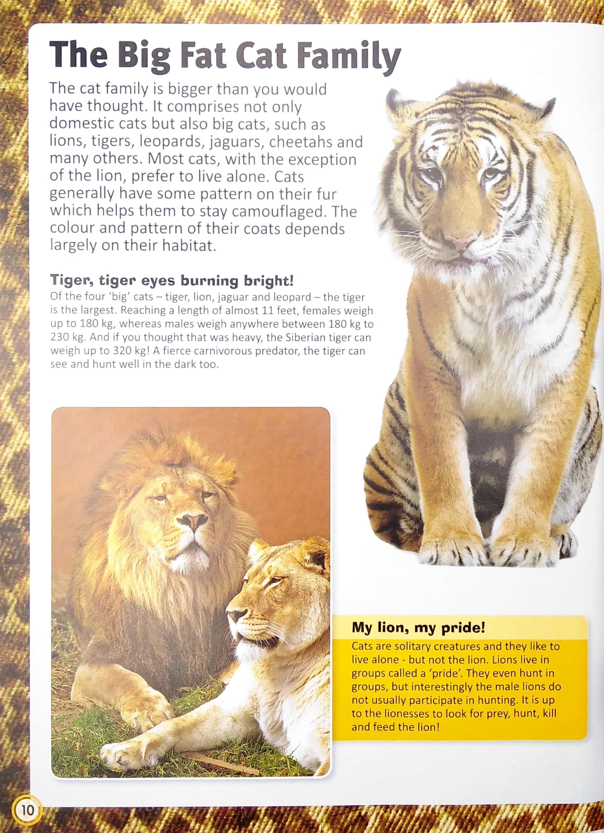 Encyclopedia Of Cats