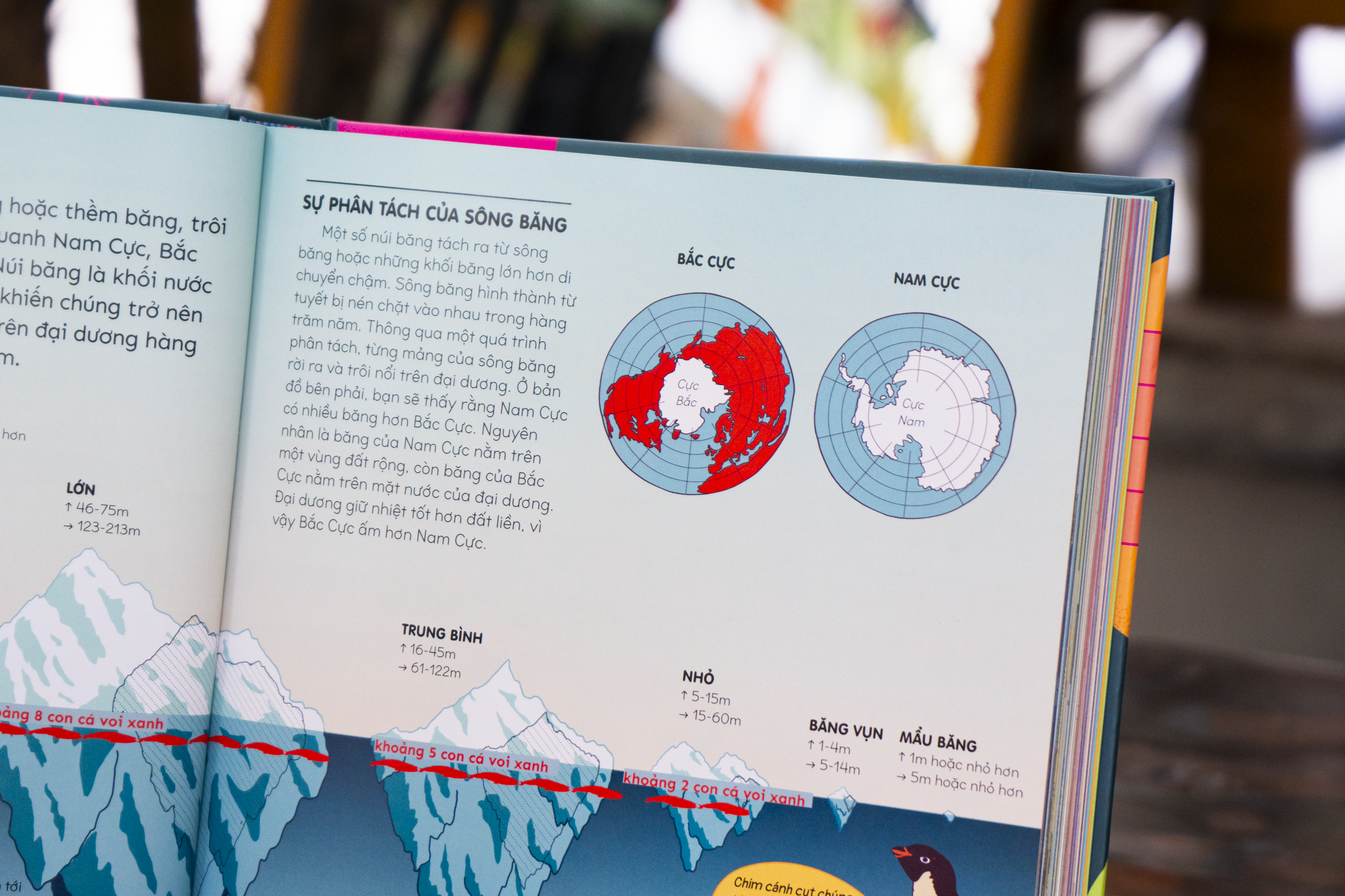 Britannica's Encyclopedia Infographica - Bách khoa thư bằng đồ họa