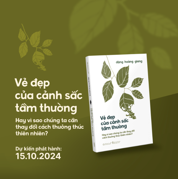 Vẻ Đẹp Của Cảnh Sắc Tầm Thường - Bản Quyền