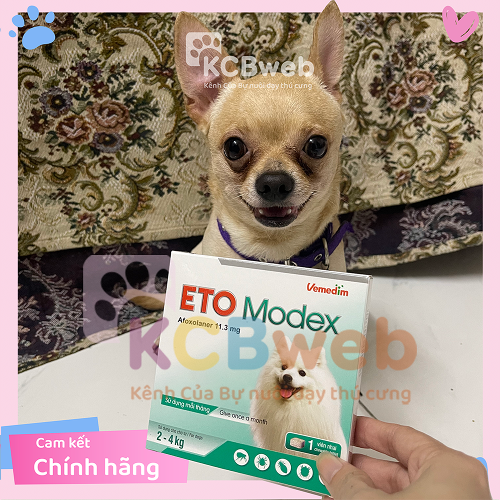Viên nhai Eto Modex diệt ve, rận, bọ chét, bọ nhảy dành cho chó