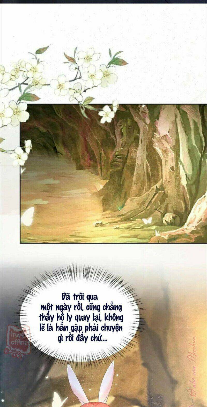 hắc hóa nam chính trực tuyến nuôi thỏ chapter 54 16