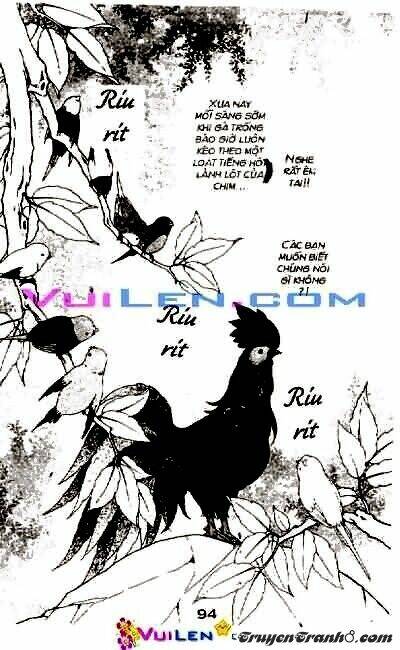 đóa hoa yêu kiều chapter 10 95
